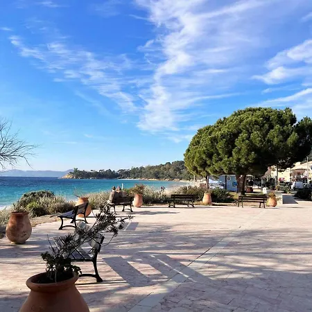 Le Lavandou, 3 Pieces, 4 Personnes - Fr-1-251-469 * Le Lavandou