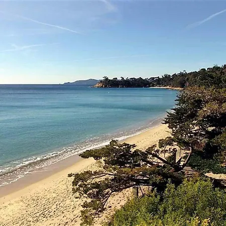 Apartment Le Lavandou, 3 Pieces, 4 Personnes - Fr-1-251-469